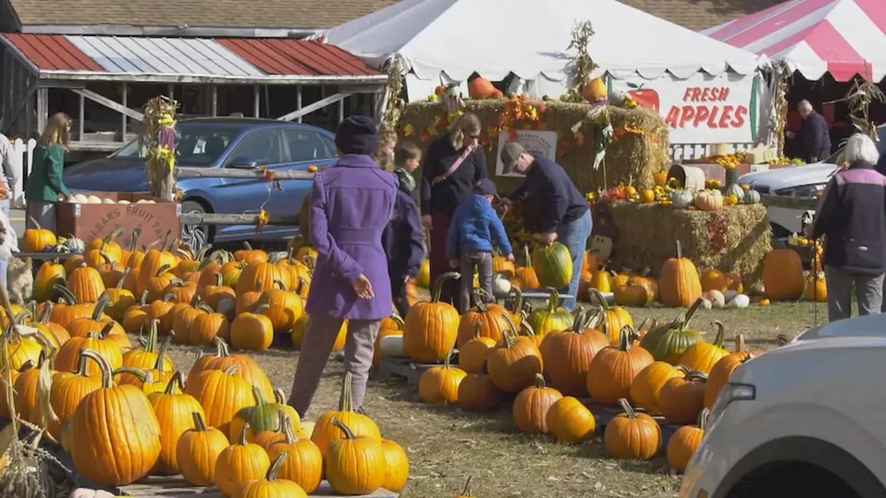 Ottawa's October Tease: 18°C Days Meet Freezing Nights