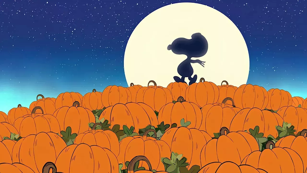 The Humble Success of 'It's the Great Pumpkin, Charlie Brown'