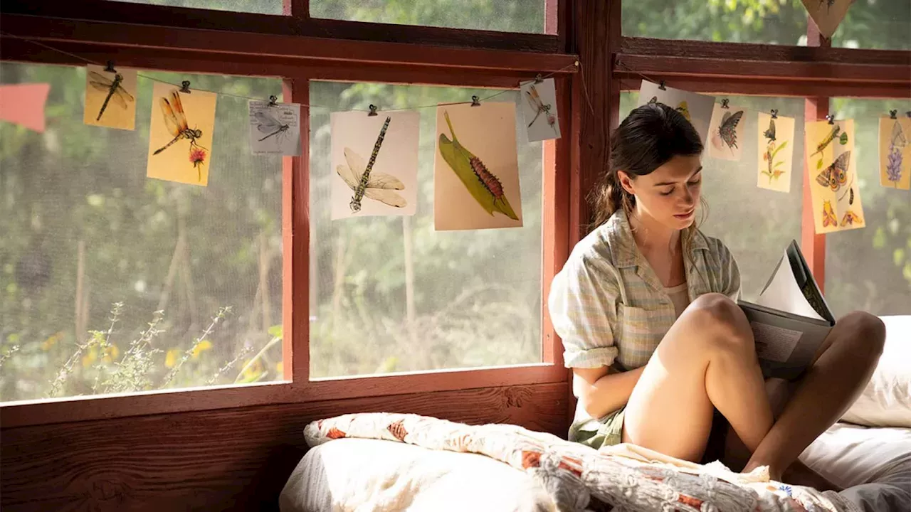 The 62% Rating Gap: Why Critics and Audiences Clashed Over 'Where the Crawdads Sing'