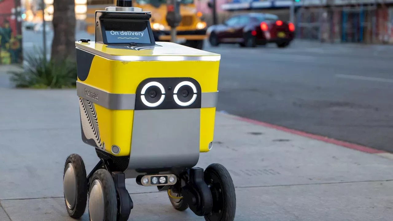 Philadelphia's Robot Resistance: The 78-Year-Old Protester Facing Charges