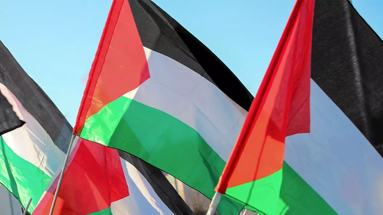 Curtain Call Conflict: Calgary Opera Ousts Singer Over Palestinian Flag