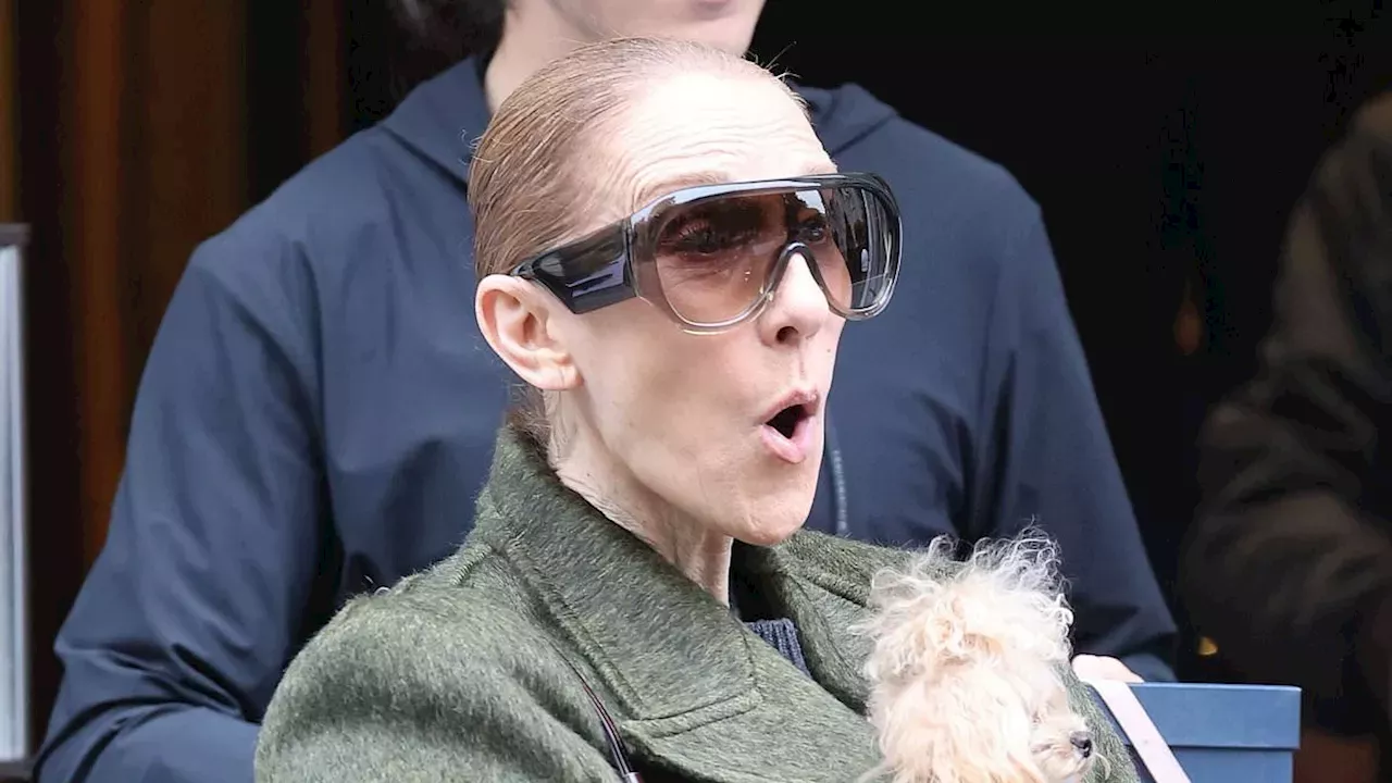 Celine Dion’s Nanterre Triumph: Breaking Records Amidst Health Battles