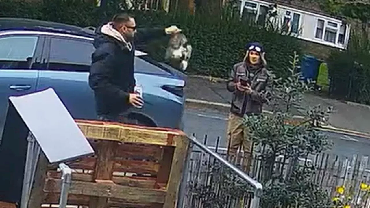 Heartless thieves snatched rabbit, said they'd 'turn him into kebabs' before finding him dumped in a car park