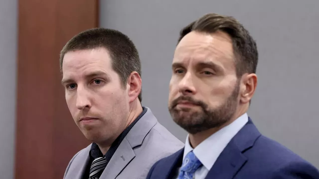The Price of a Drunken Prank: Mitchell Fairbarn’s Flamingo Felony Trial
