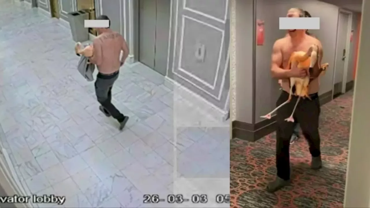 Vacation Nightmare: Ontario Man Faces Years in Prison Over Las Vegas Flamingo Theft
