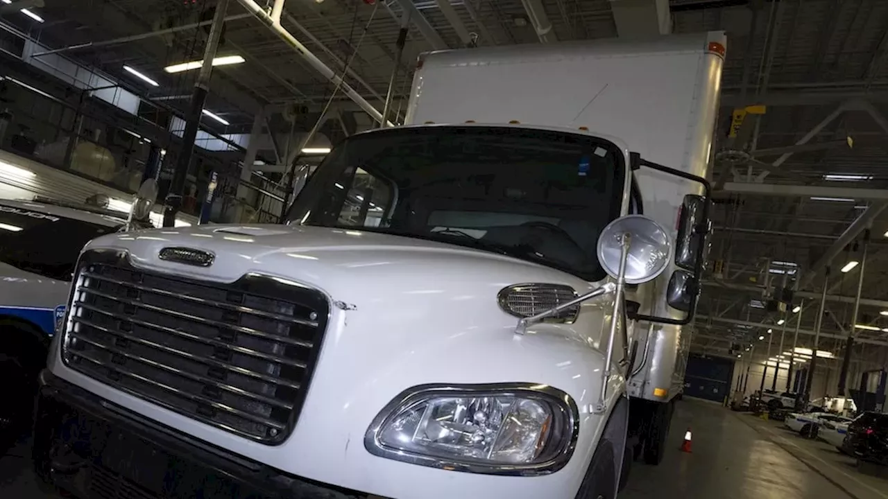 Pearson gold heist witness cannot recall calls with accused on day of theft