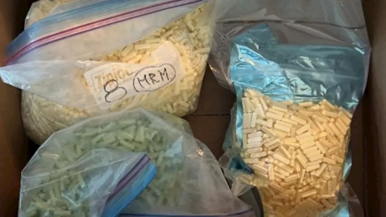 BlueBuddhaCo Dismantled: Edmonton’s Role in a $2 Million National Drug Ring