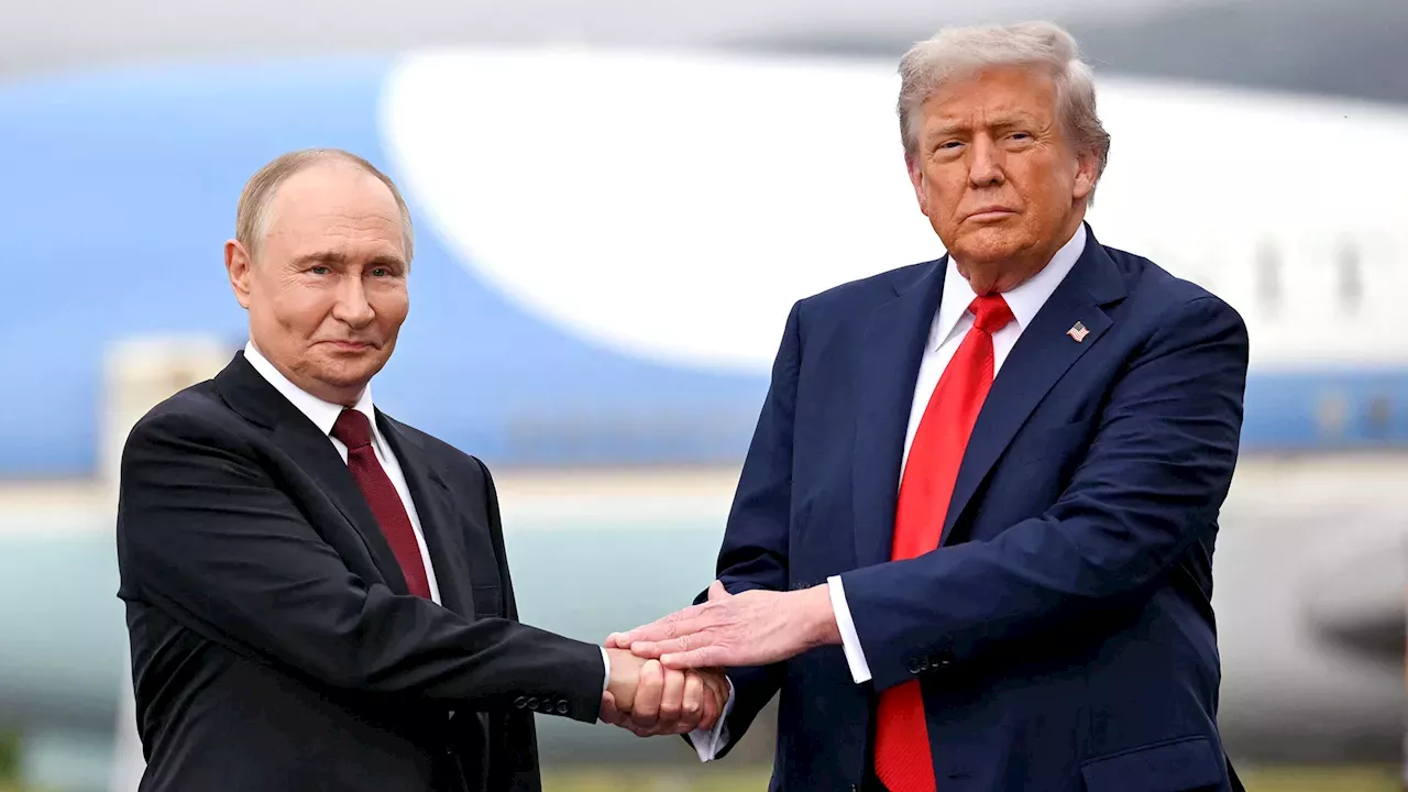 The Diesel Gambit: Can Russian Imports Win Midterm Votes?