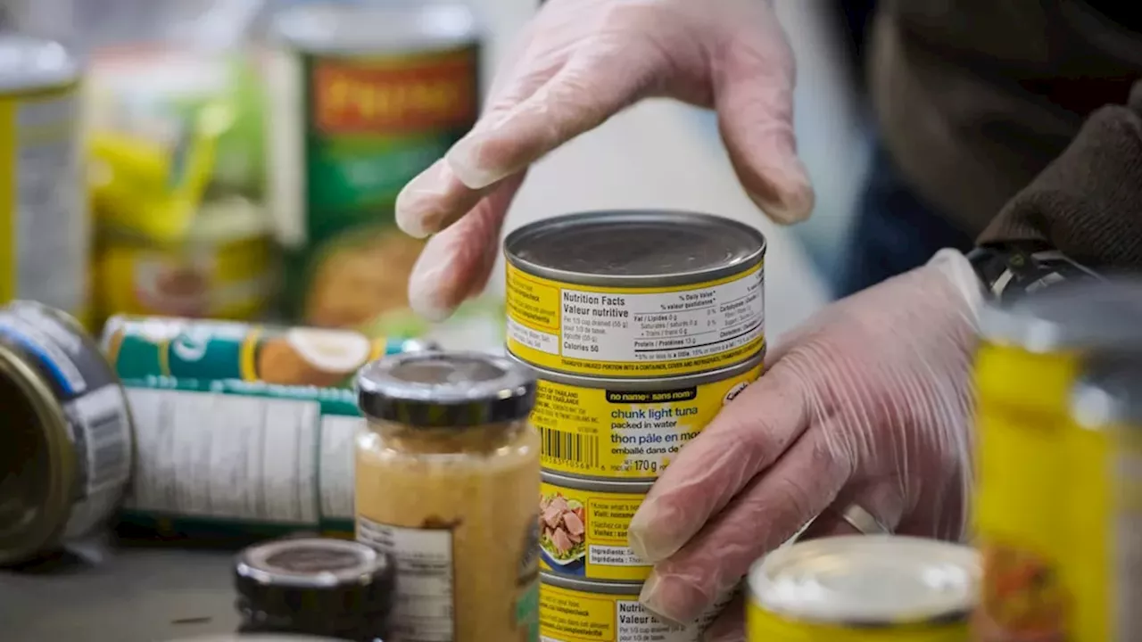 Canada’s Hunger Crisis: 2.35 Million Monthly Visits Signal Economic Breaking Point