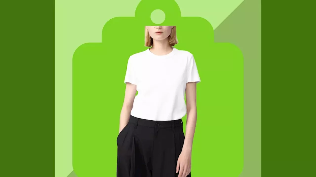 The $15 Staple: Decoding the Appeal of the Heavyweight Cotton Tee