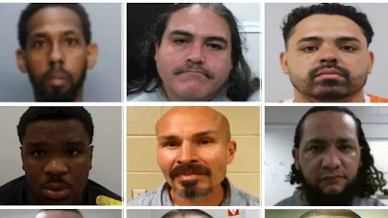 ICE Detains Multiple Illegal Aliens Convicted of Serious Crimes Over Weekend