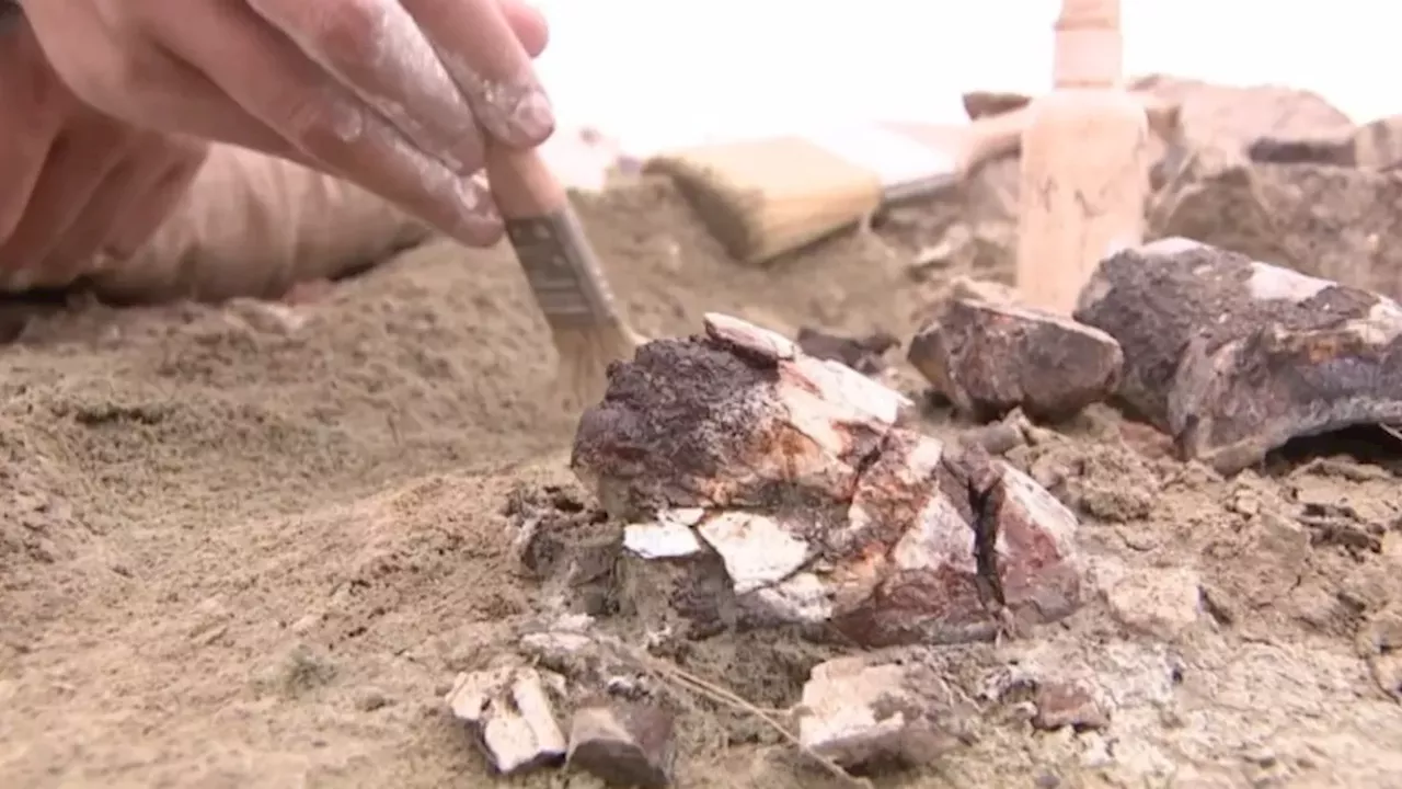 Beyond the Utahraptor: New Species Found at Moab's Extinction Boundary