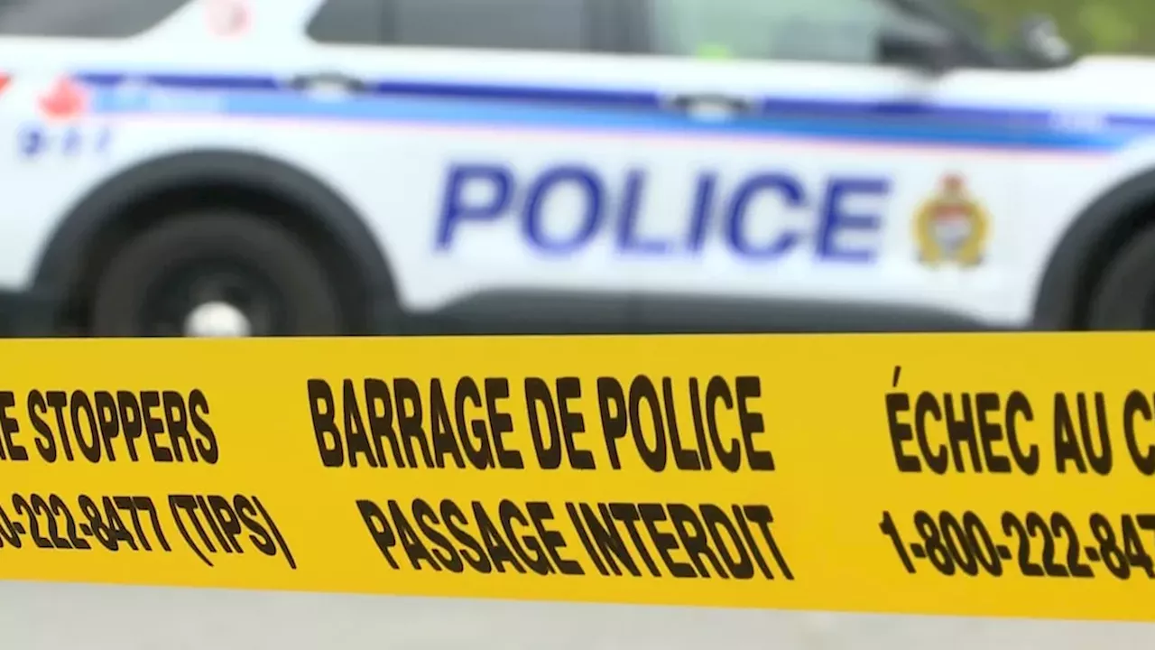 Ottawa’s Collision Cluster: Four Pedestrians Struck in a Single Day