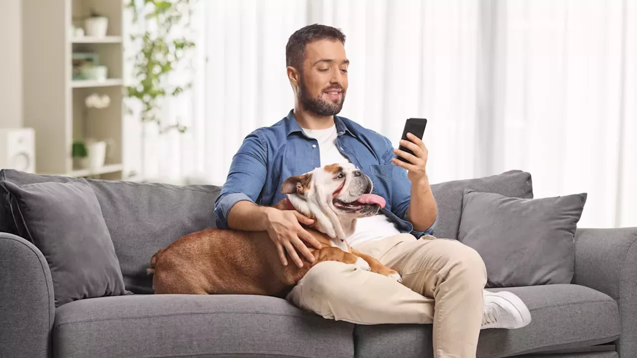 The High-Spec Shift: How Specialized Smart Tech is Redefining Domestic Efficiency