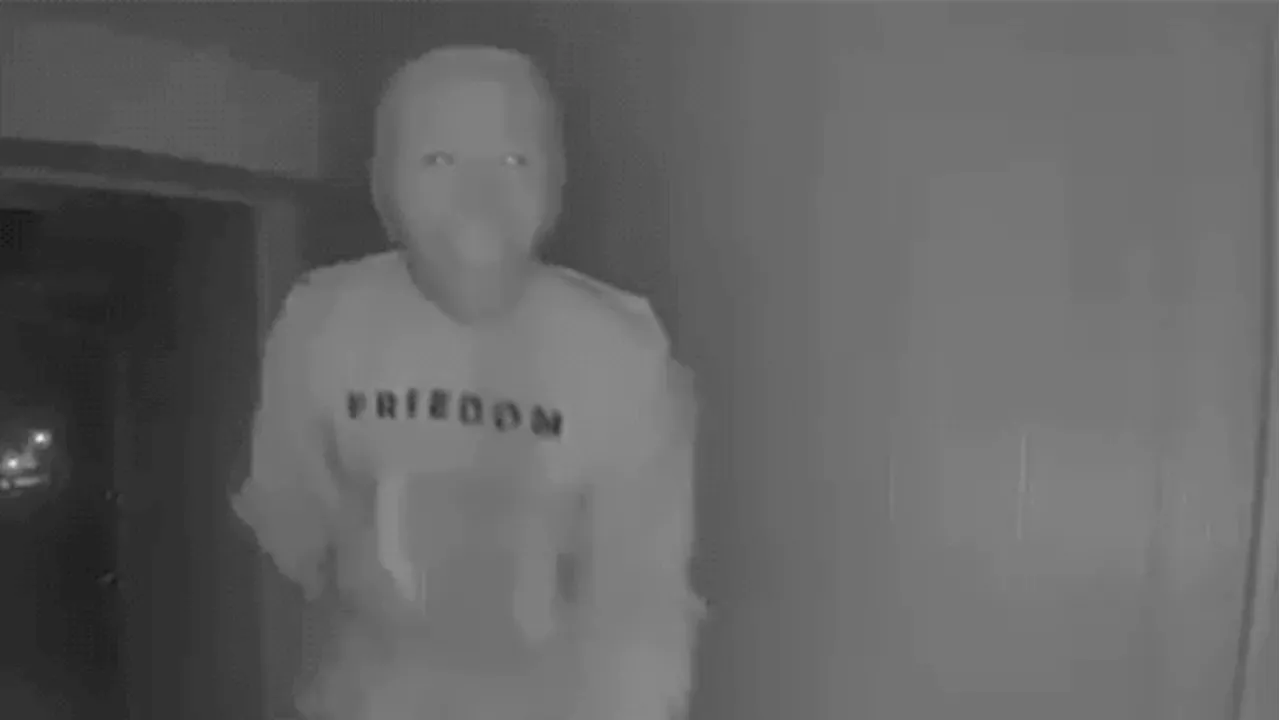 The Banana-Eating Biden Mask: Watauga Police Call Bizarre Encounter Non-Criminal