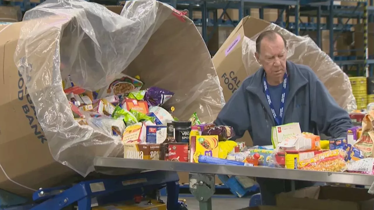 Canada's Hunger Crisis: Alberta's 156% Spike Signals National Emergency