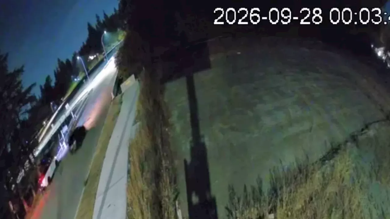 Langley RCMP Seeks Witnesses of Home Invasion and Shooting