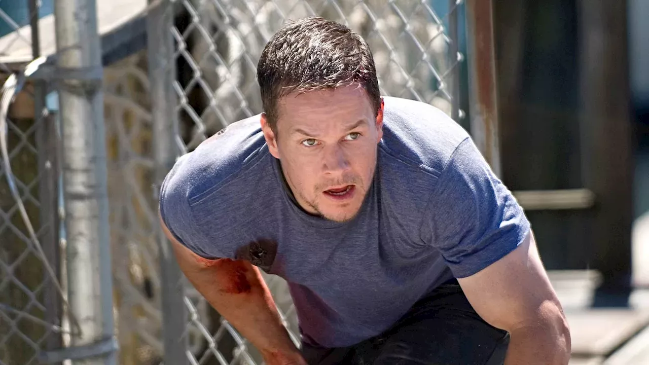 The Wahlberg Paradox: Why Cult Classics Outlast New Streaming Hits