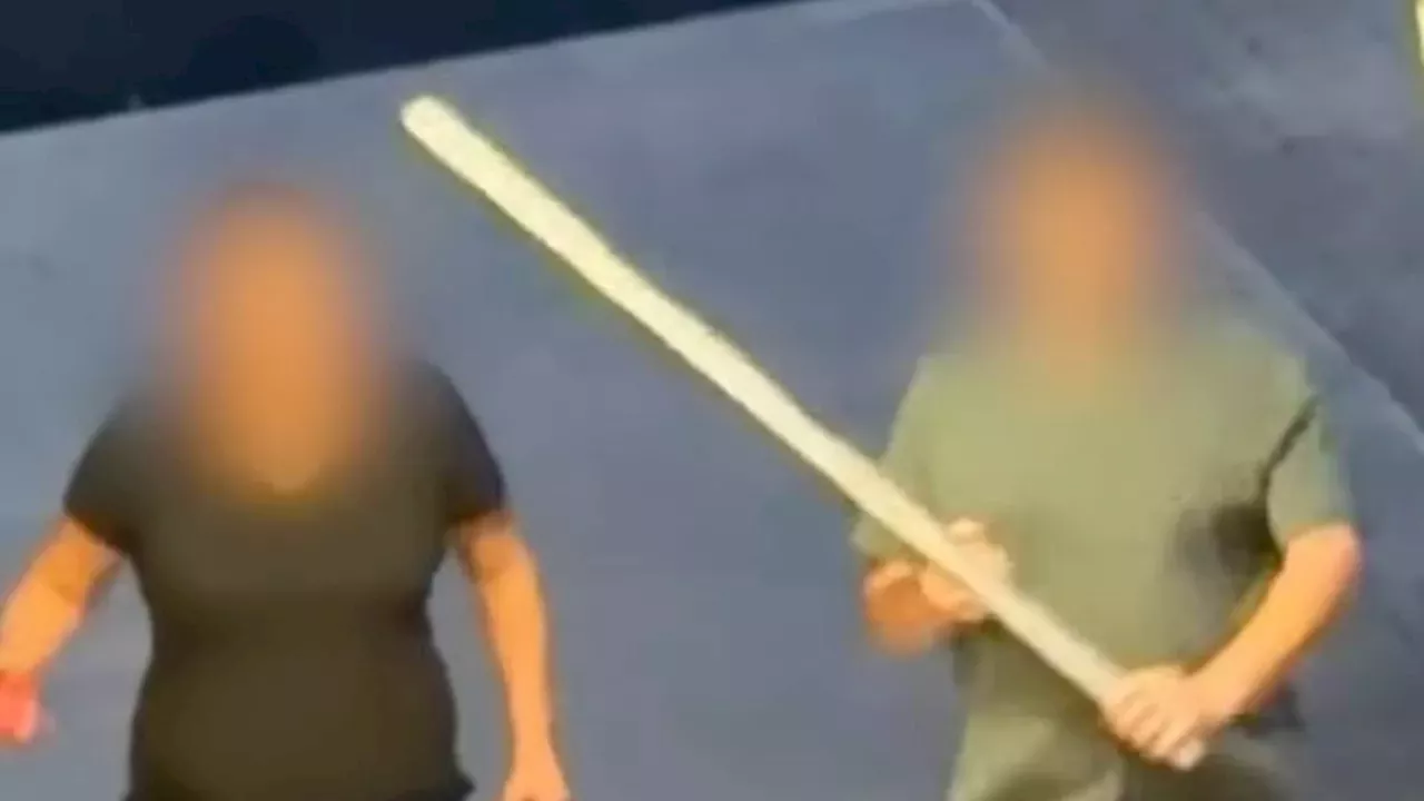The Milton Keynes Sword Attack: Civilian Bravery and the Limits of Public Safety