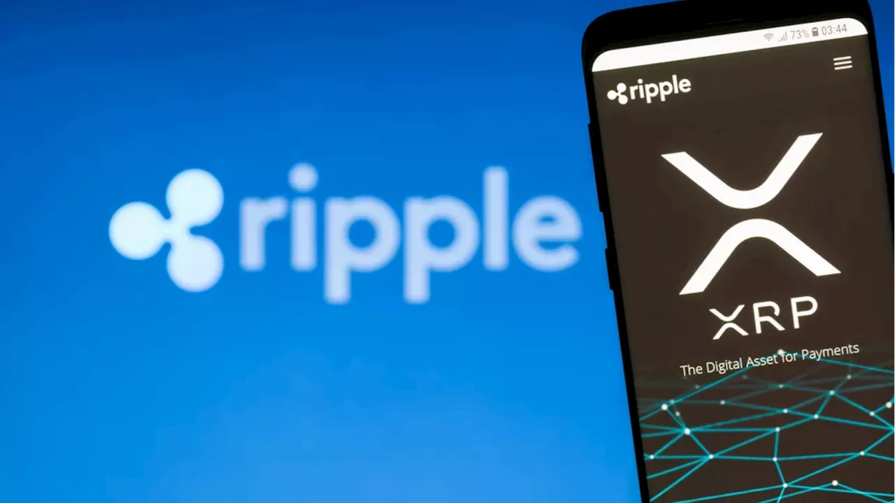Blind Spots in the Ledger: What the XRPL Lag Reveals About Crypto Monitoring