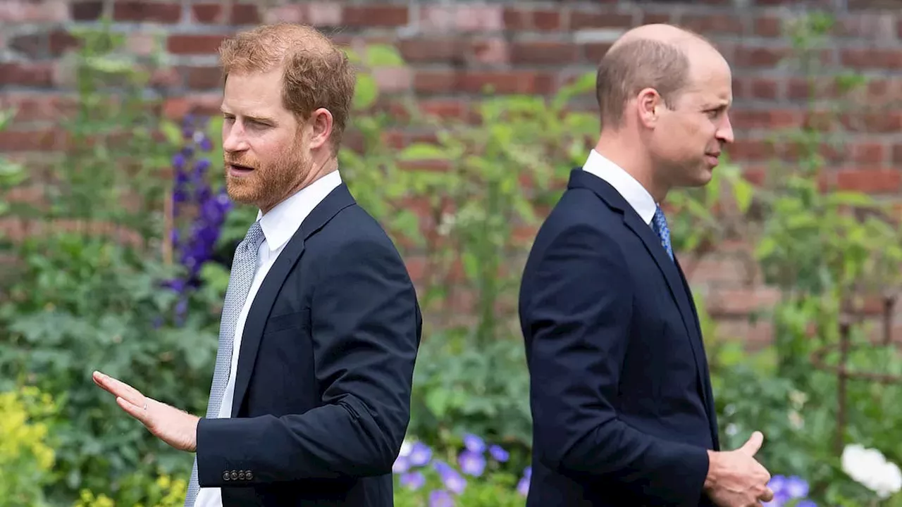 The Royal Stalemate: Can Prince William Bridge the Gap with Prince Harry?