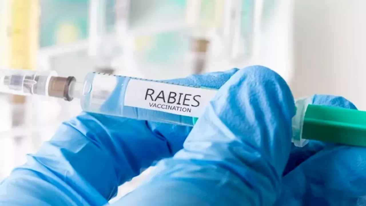 Skunk in Vancouver Tests Positive for Rabies