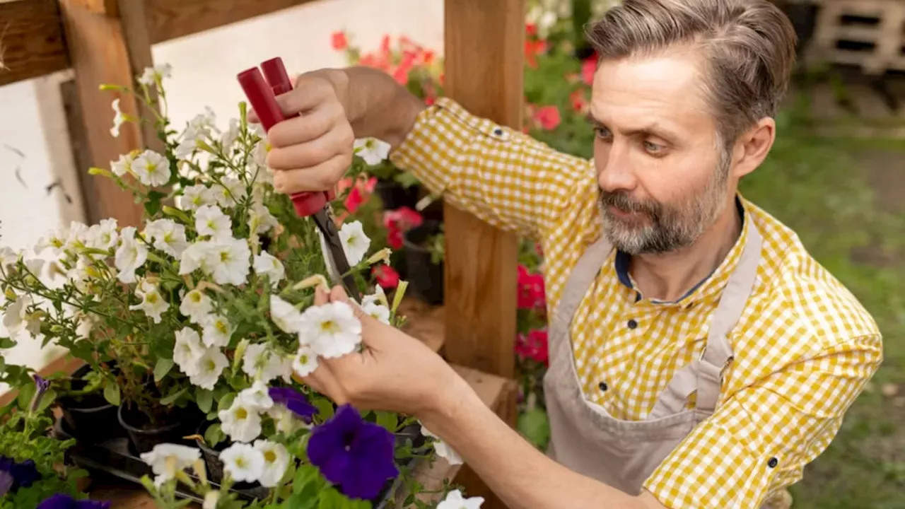 Stop Tossing Your Petunias: The Math Behind Garden-Gold Composting