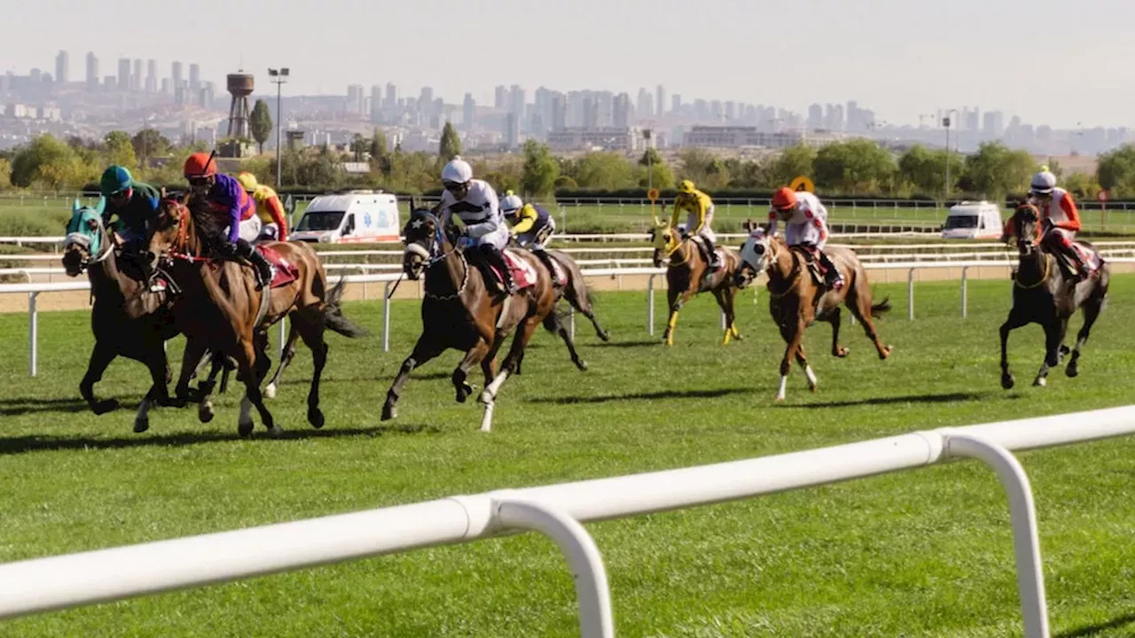 Century Downs Bans Winnipeg Jockey Following Scarlett's Flower Abuse Allegations