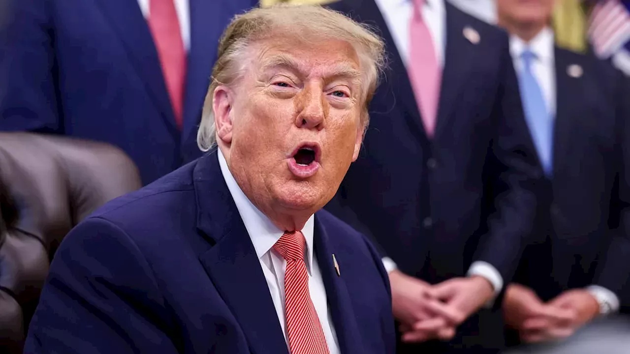 The Dive Bar Pulse: Unpacking Trumpism in Florida's Gulf Coast