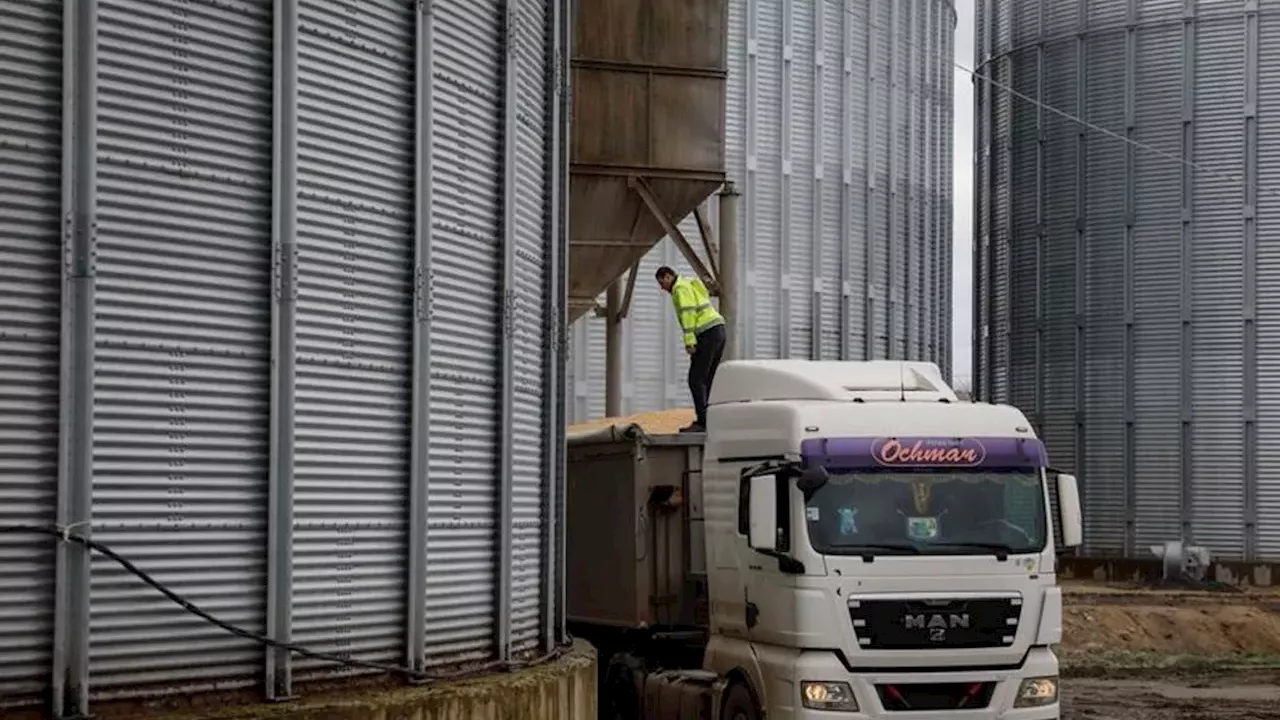 Ukraine Seeks to Shift Grain Truck Inspections to Polish and Slovak Borders to Counter Drone Attacks