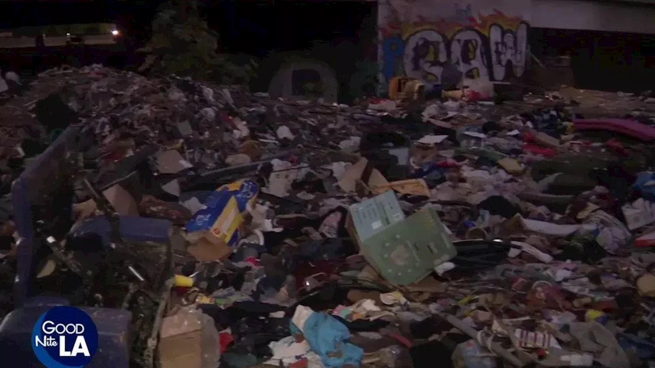 Under‑Overpass Encampment in Arleta Raises Human and Animal Welfare Concerns