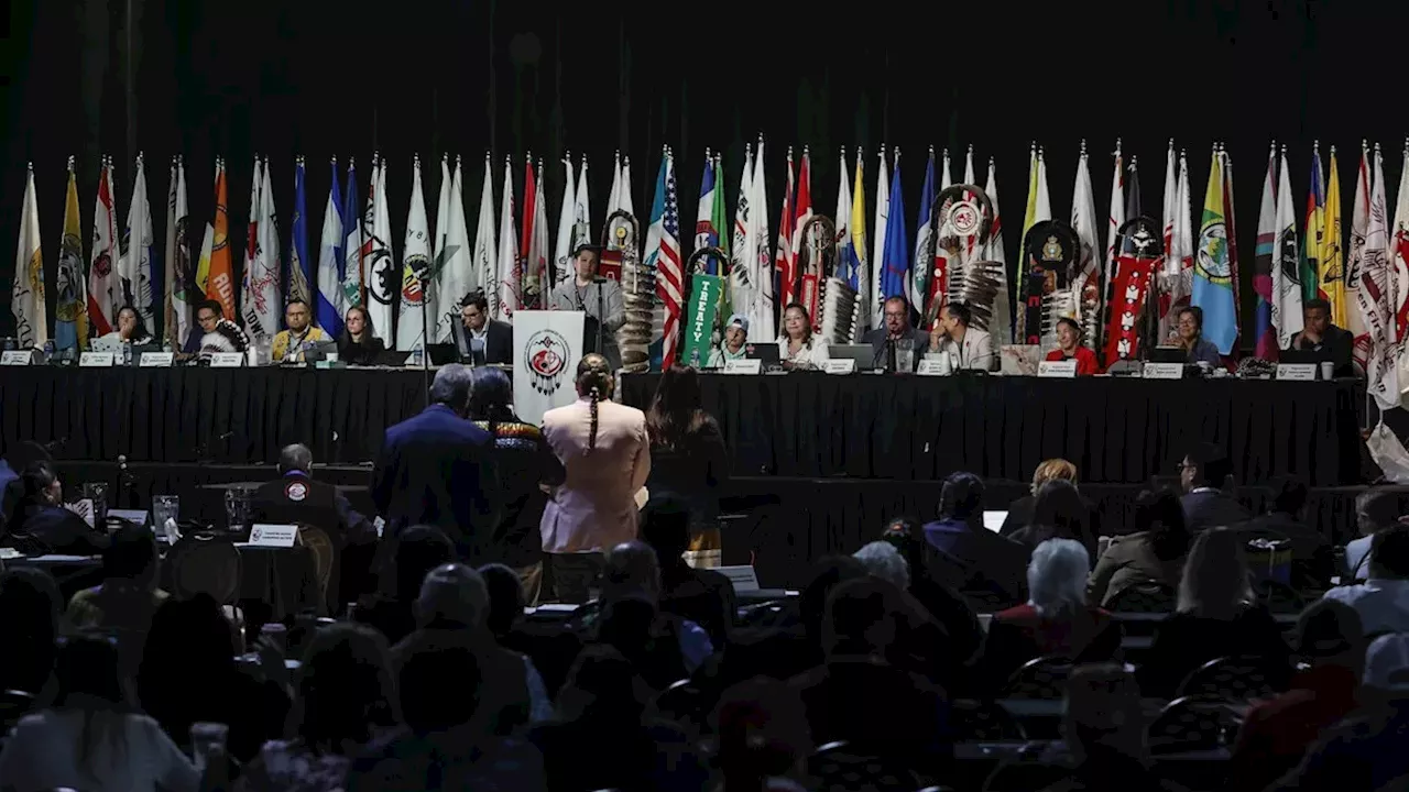 A High-Stakes Gamble in Ottawa: Can Carney and the AFN Break the 20-Year Silence?