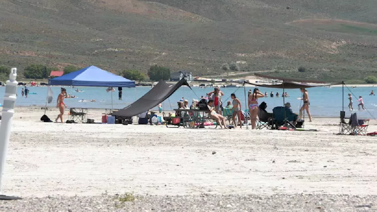 Aerial Warfare: Idaho’s High-Altitude Battle to Reclaim Bear Lake from Cheatgrass