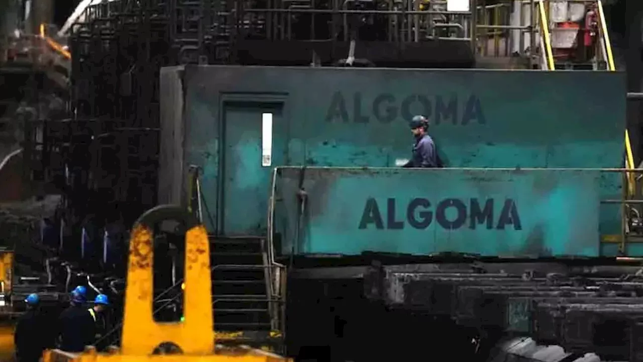 Canada’s Trade Pivot: From Policy Rhetoric to TSX Winners