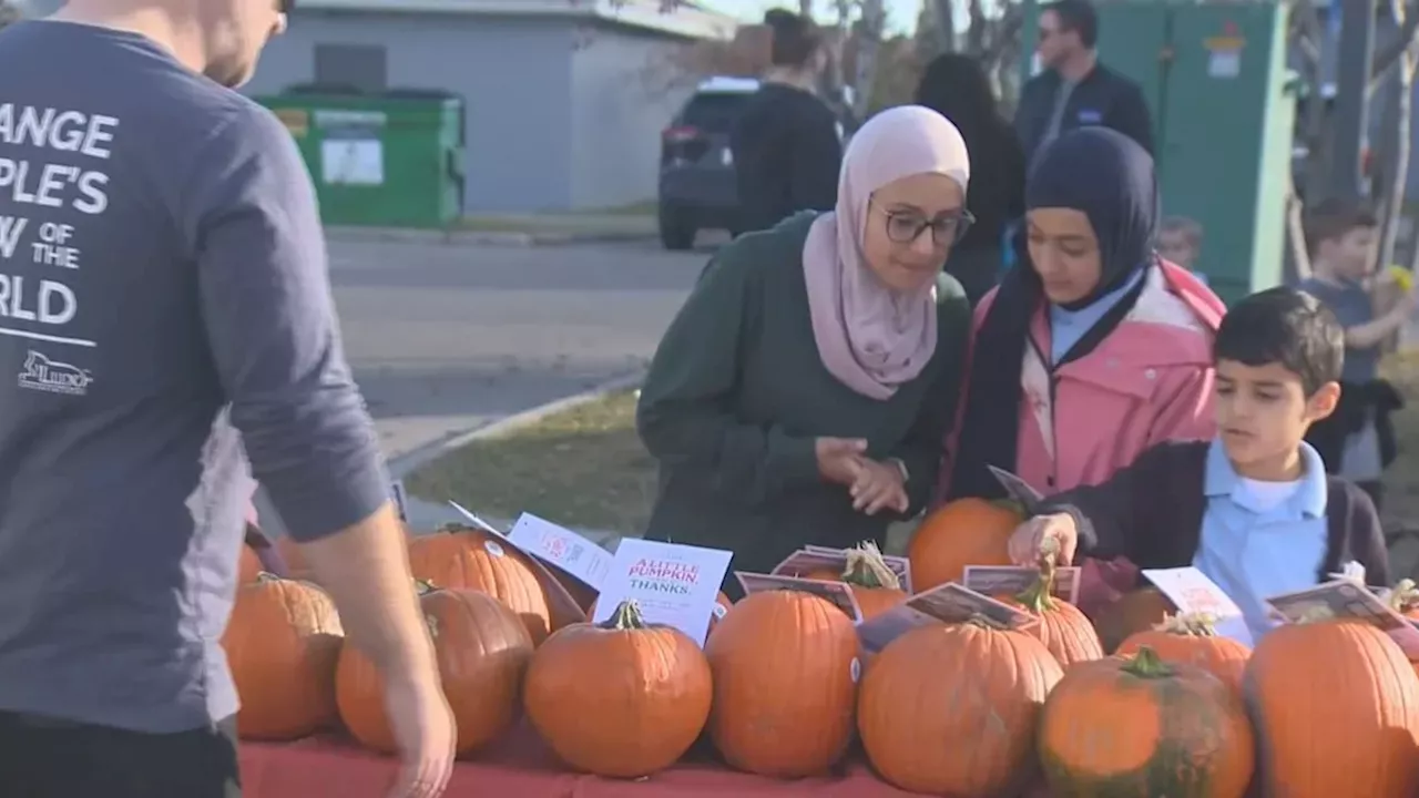 Beyond the Window: How Lux Windows and Doors is Using 3,000 Pumpkins to Reconnect with Calgary