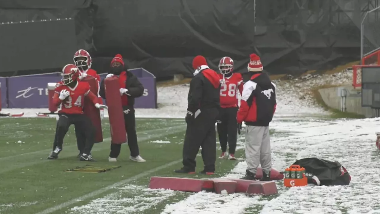 Stamps await fate with Lions' help