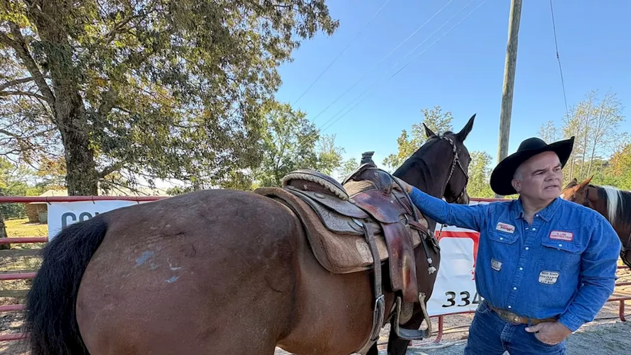 Steer Wrestling: The Ultimate Test of Toughness at Lazy P Ranch