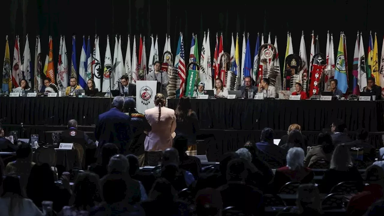 Beyond the Wealth Fund: The High-Stakes Diplomacy of the AFN-Carney Summit