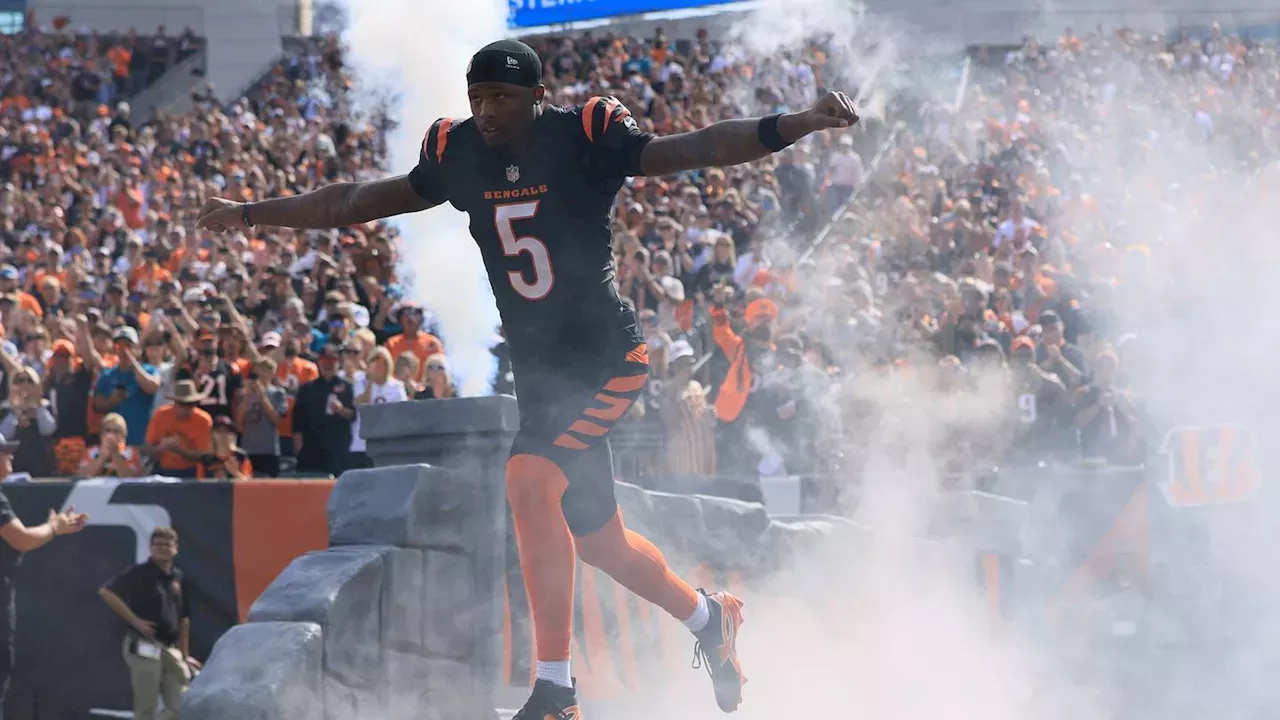 AFC North Clash: Betting on Burrow's Efficiency and Henry's Decline