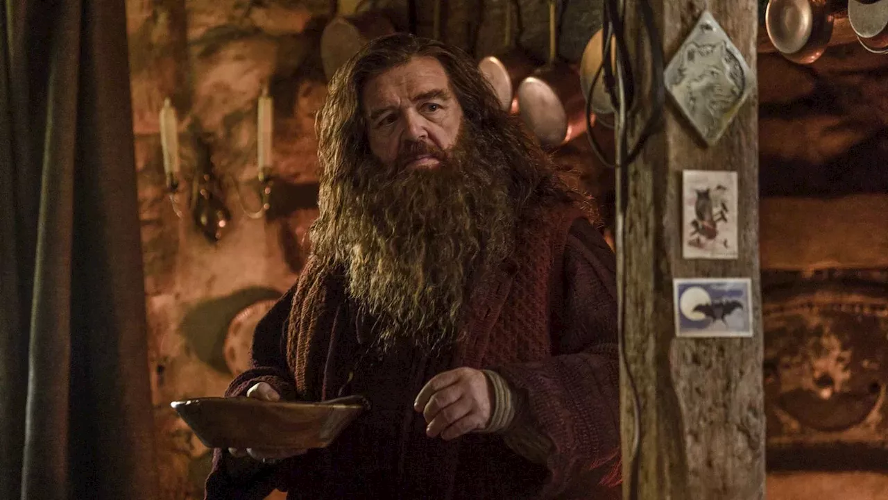 HBO's Harry Potter Gamble: Why the December 2026 Premiere Faces an Immediate Uphill Battle