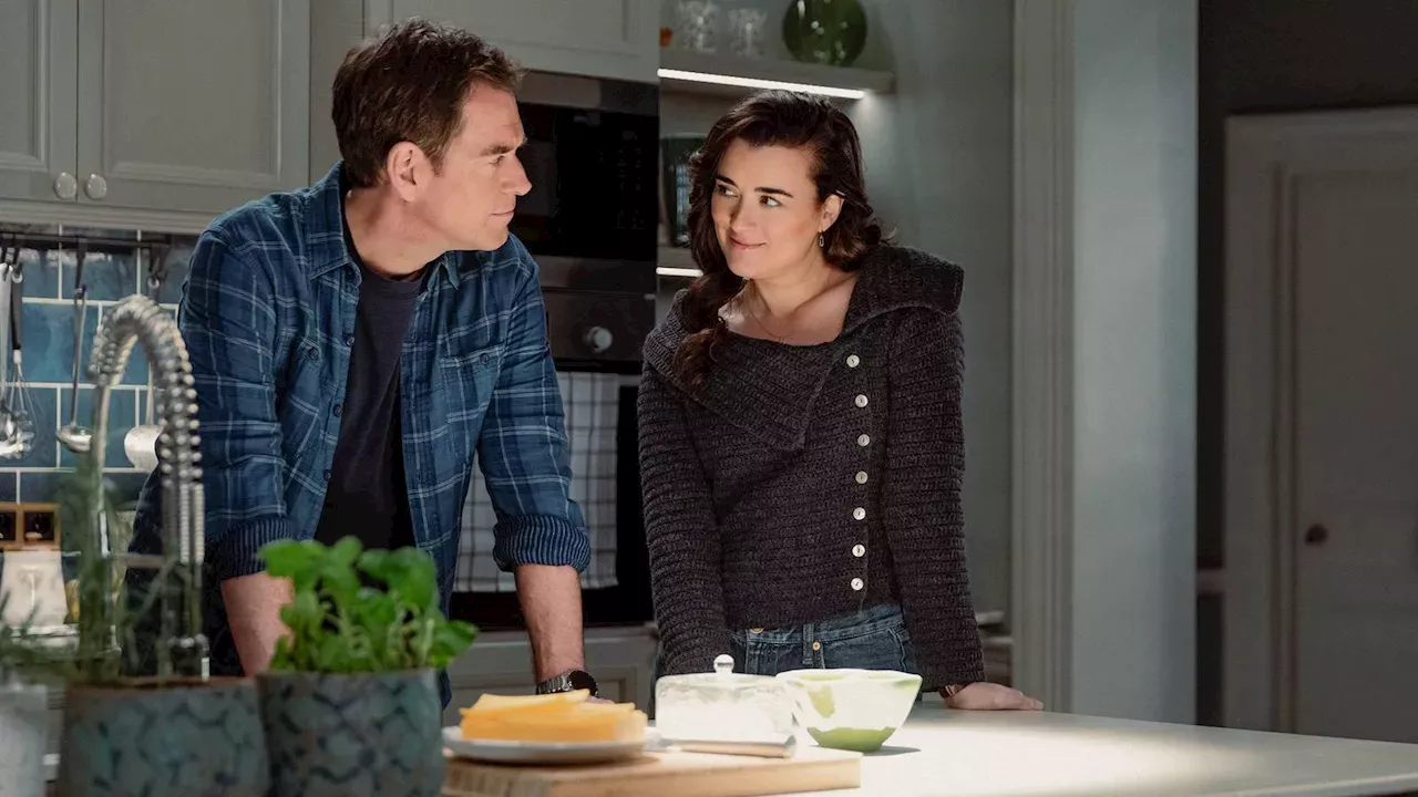 NCIS Franchise Faces Delayed Reunion of Iconic Duo as New Series Highlights Emerging Pairings