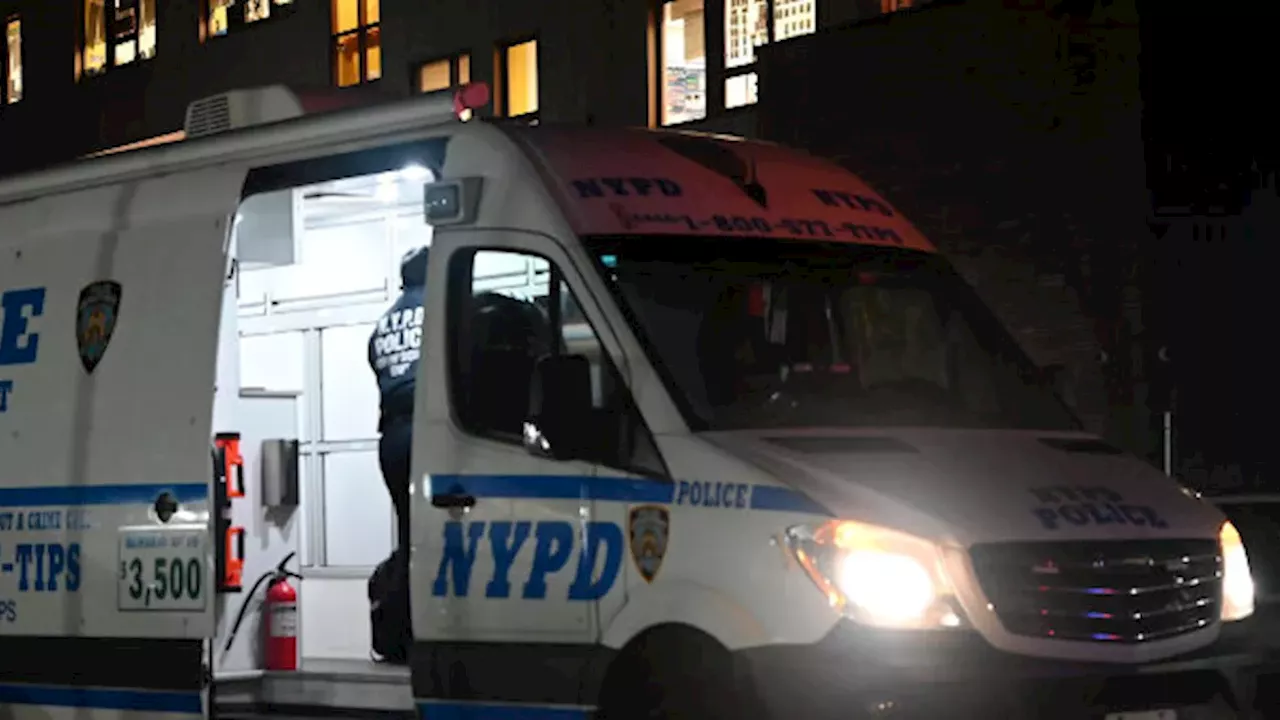Tragedy in Jamaica: When a Heroic Act Ends in an NYPD Shooting