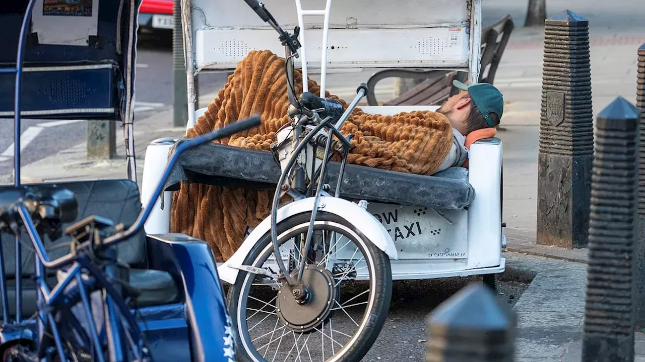 Palace Walls and Pedicabs: The Lawless Camp at Buckingham Palace