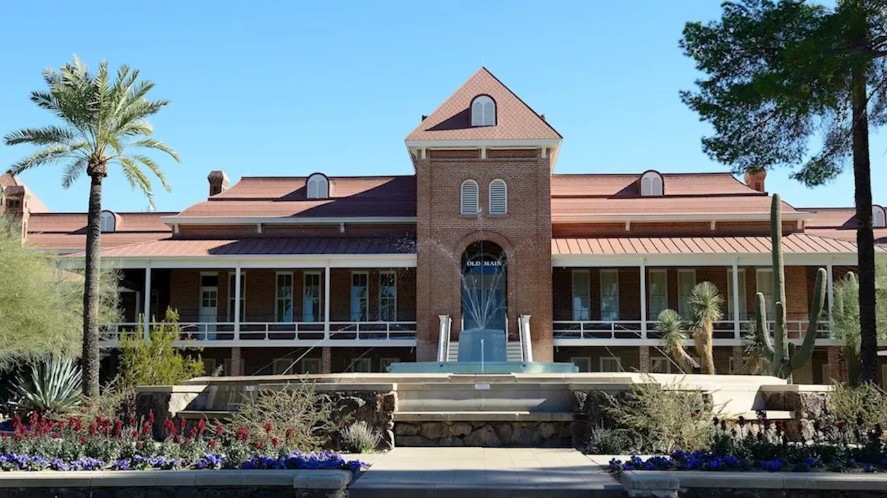 Beyond the Sigma Phi Epsilon Suspension: A Crisis of Safety at University of Arizona