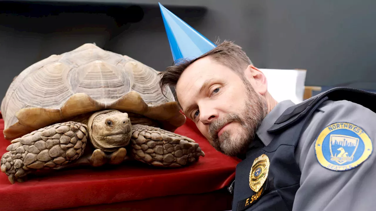 Frank Shaw’s Rogue Investigation and the 100-Year-Old Tortoise: Inside Animal Control's Latest Chaos