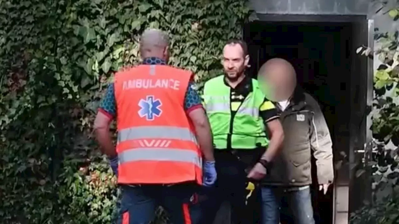 Leopard Attack Leaves Veteran Dutch Zookeeper in Coma