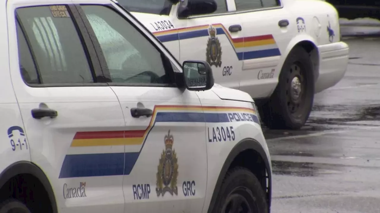 Hate-Crime Charges Filed After Attack on Family in Langley City
