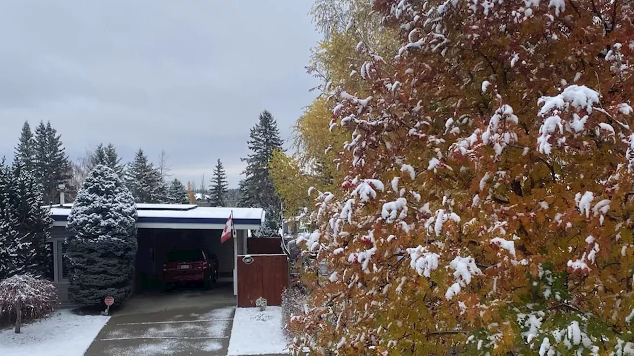 Calgary Faces Cold, Wet Week Ahead of Halloween