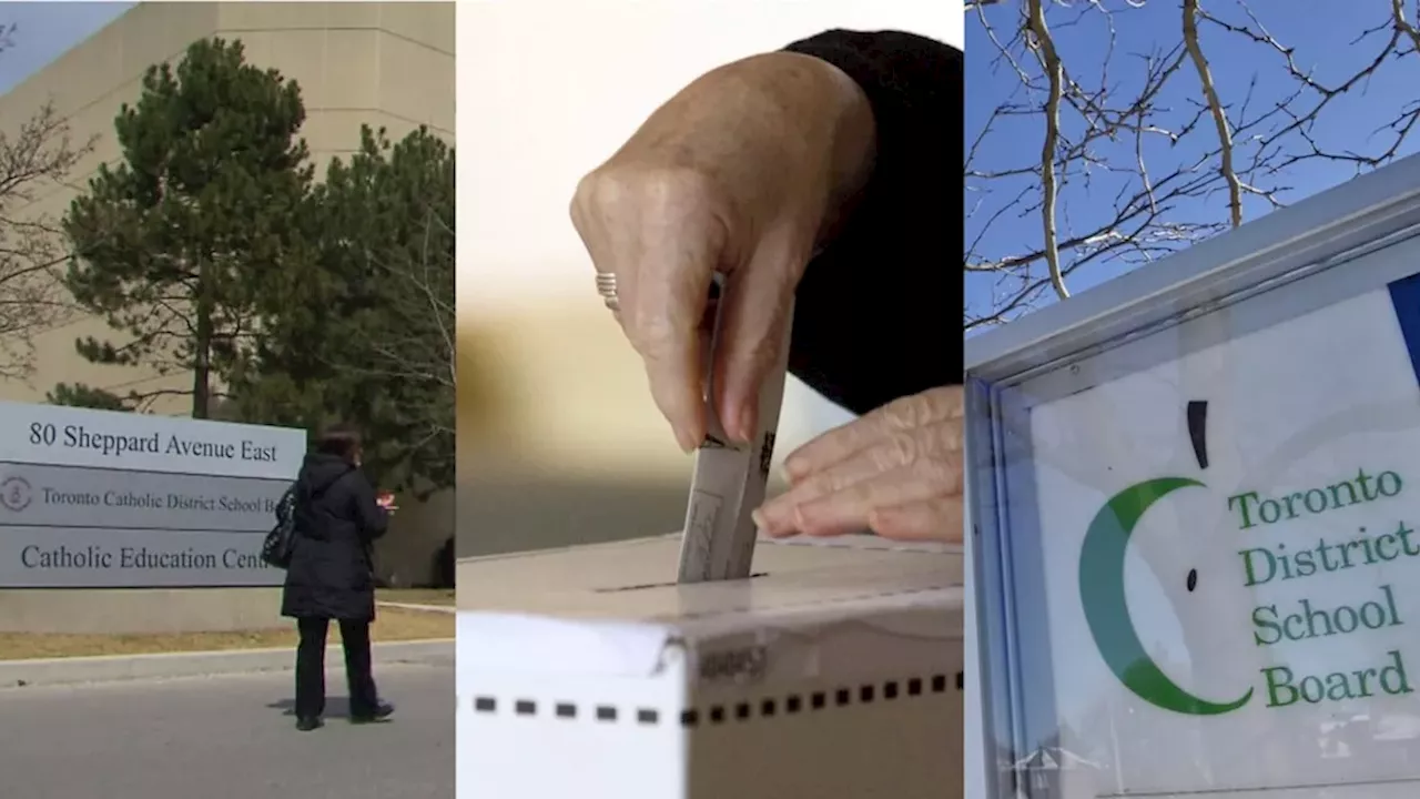 Ontario's Trustee Limbo: Running for Powerless Seats in Eight School Boards