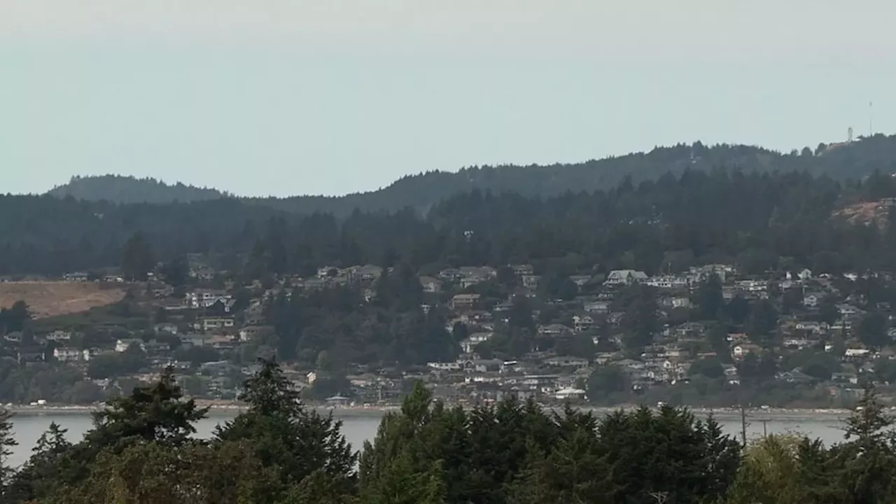 Gunfire in Nanaimo: Search for Shooter Near Buttertubs Marsh Park